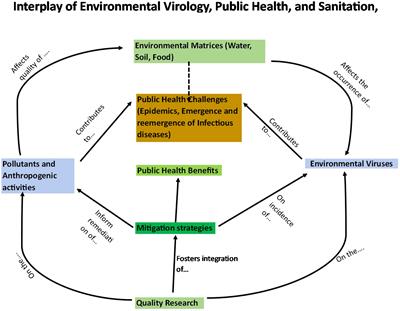 Analysing the interplay of environmental virology, public health, and sanitation: a comprehensive review from a Kenyan perspective